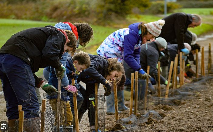 Matinées chantiers verts